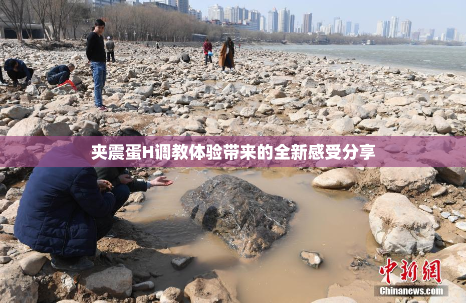 夹震蛋H调教体验带来的全新感受分享