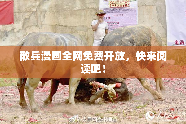 散兵漫画全网免费开放，快来阅读吧！