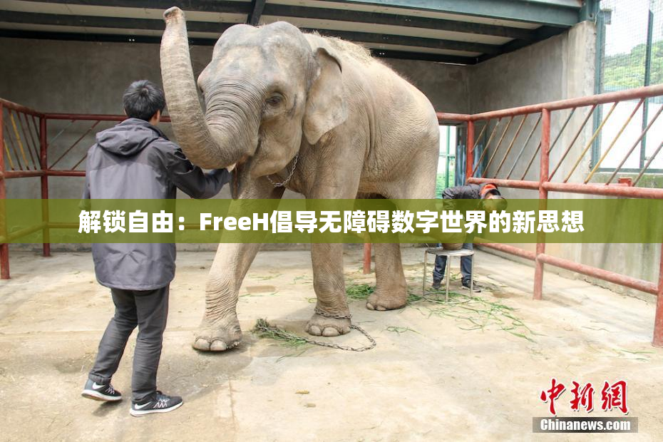 解锁自由：FreeH倡导无障碍数字世界的新思想