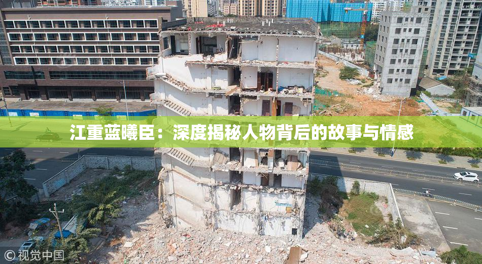 江重蓝曦臣：深度揭秘人物背后的故事与情感