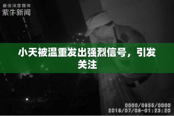 小天被温重发出强烈信号，引发关注