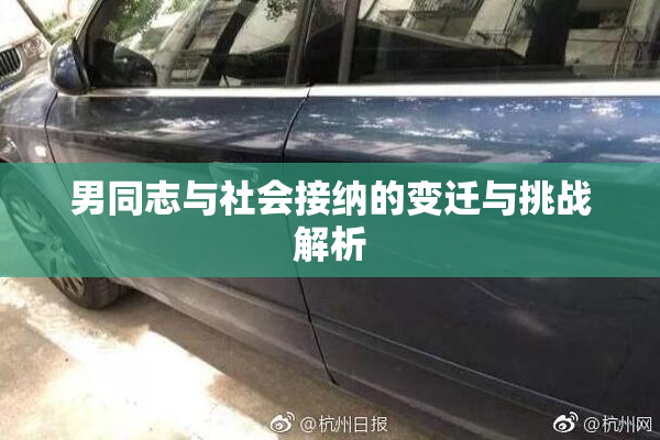 男同志与社会接纳的变迁与挑战解析