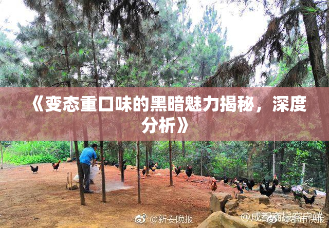 《变态重口味的黑暗魅力揭秘，深度分析》