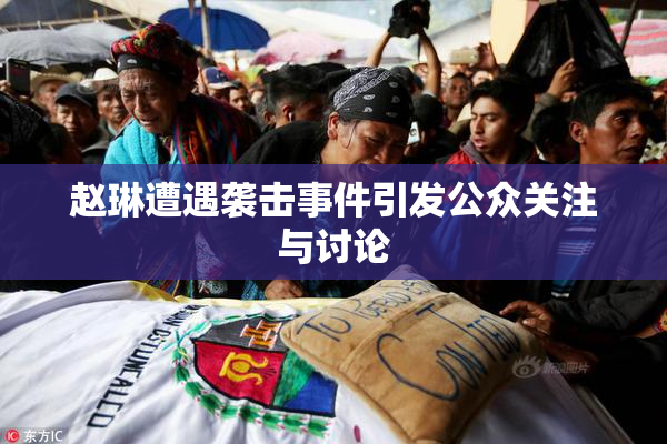 赵琳遭遇袭击事件引发公众关注与讨论