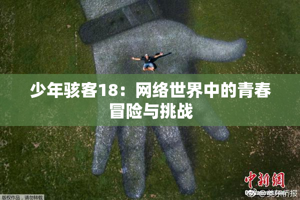 少年骇客18：网络世界中的青春冒险与挑战