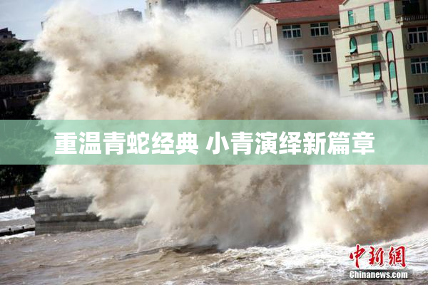 重温青蛇经典 小青演绎新篇章