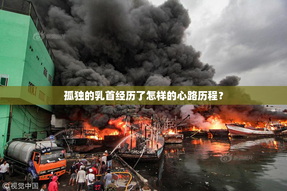 孤独的乳首经历了怎样的心路历程？