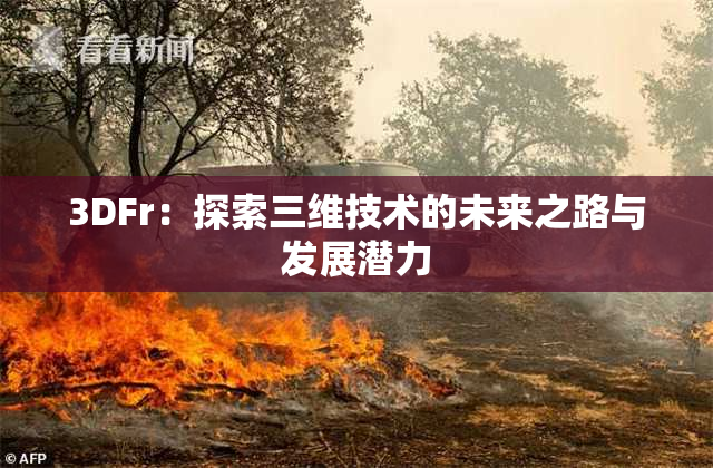 3DFr：探索三维技术的未来之路与发展潜力