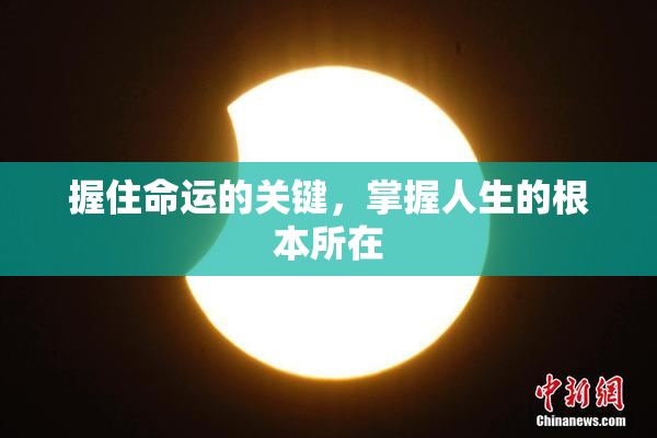 握住命运的关键，掌握人生的根本所在