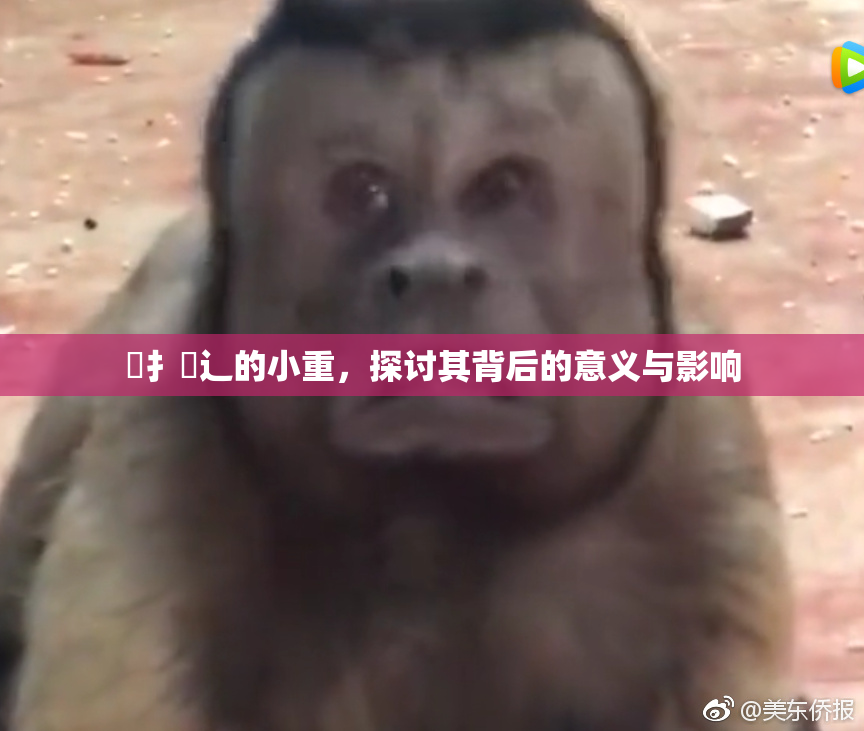 喿扌畐辶的小重，探讨其背后的意义与影响