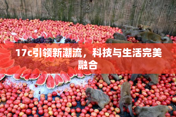 17c引领新潮流，科技与生活完美融合