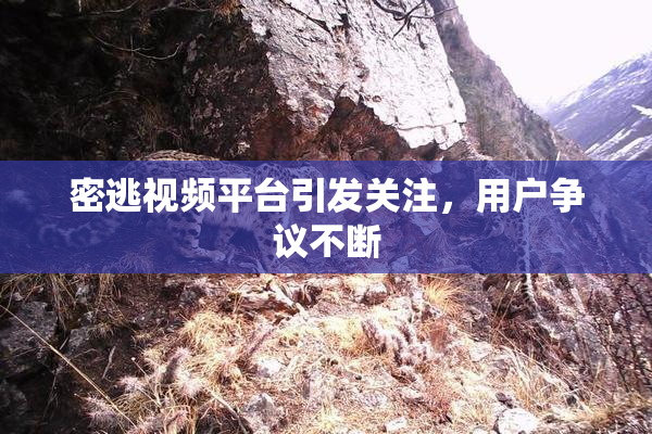 密逃视频平台引发关注，用户争议不断