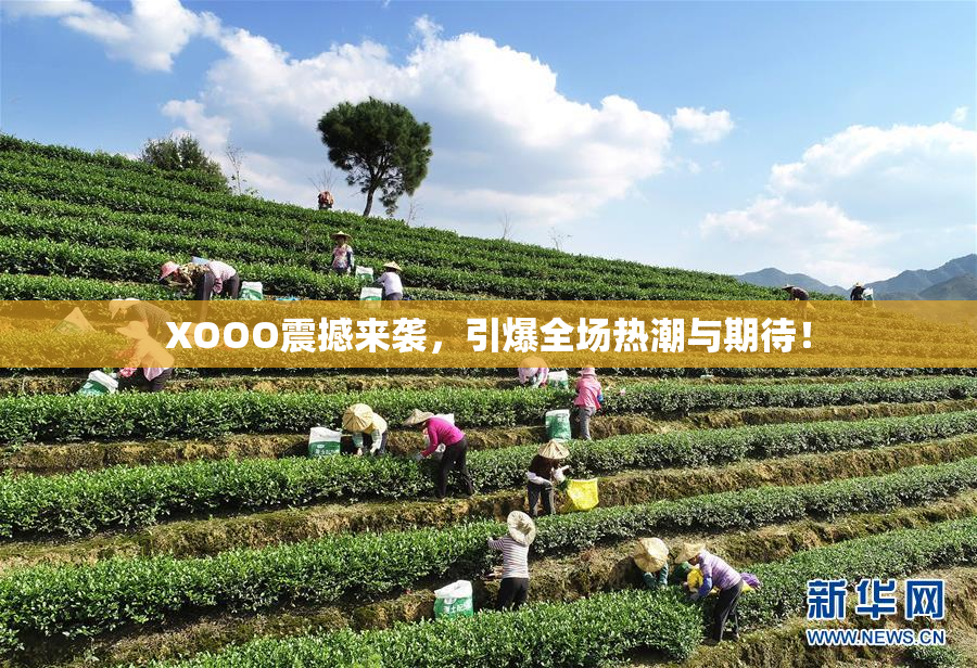 XOOO震撼来袭，引爆全场热潮与期待！