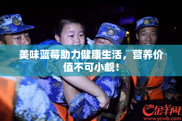 美味蓝莓助力健康生活，营养价值不可小觑！