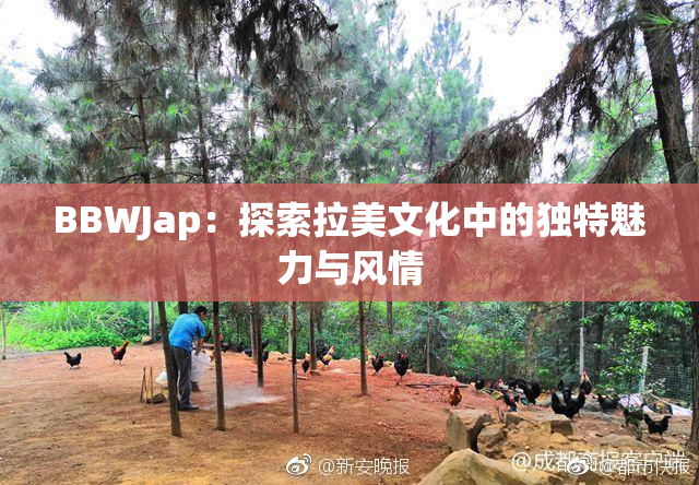 BBWJap：探索拉美文化中的独特魅力与风情