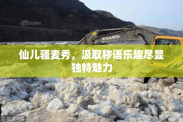 仙儿骚麦秀，汲取秽语乐趣尽显独特魅力