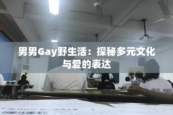 男男Gay野生活：探秘多元文化与爱的表达