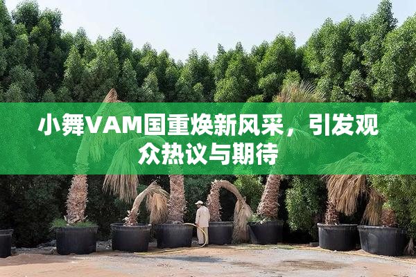 小舞VAM国重焕新风采，引发观众热议与期待