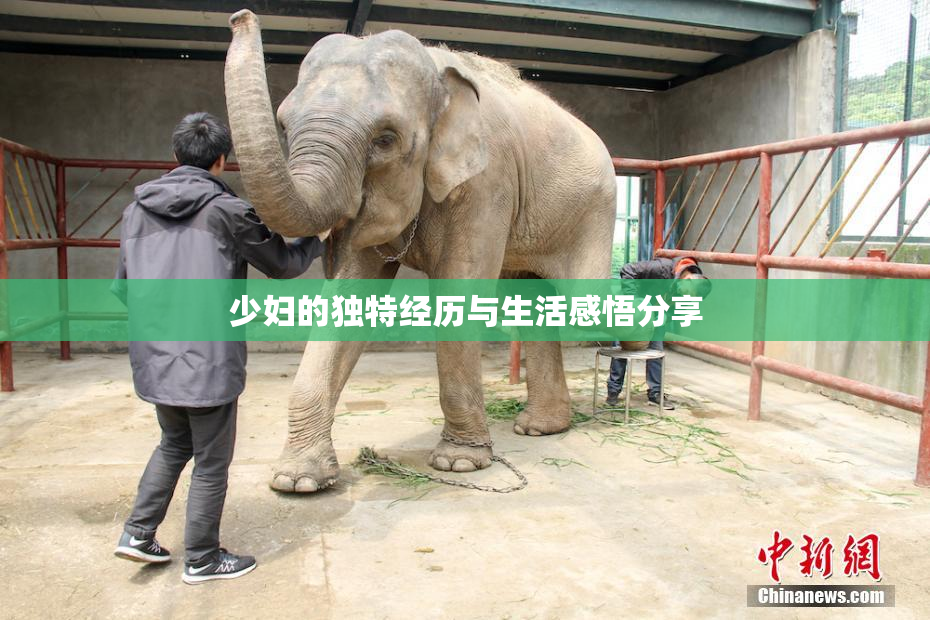 少妇的独特经历与生活感悟分享