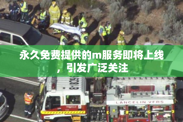 永久免费提供的m服务即将上线，引发广泛关注