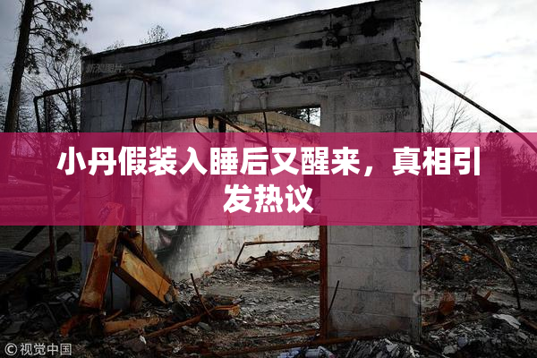 小丹假装入睡后又醒来，真相引发热议