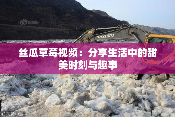 丝瓜草莓视频：分享生活中的甜美时刻与趣事