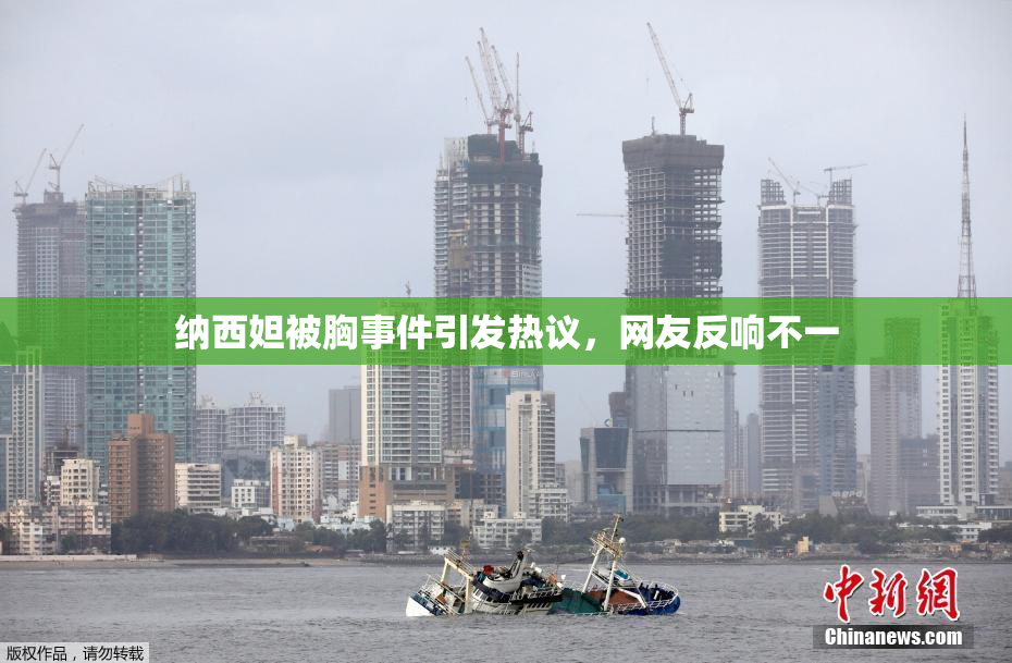 纳西妲被胸事件引发热议，网友反响不一