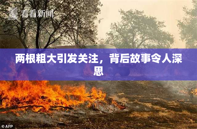 两根粗大引发关注，背后故事令人深思