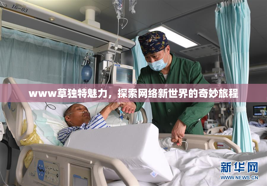 www草独特魅力，探索网络新世界的奇妙旅程