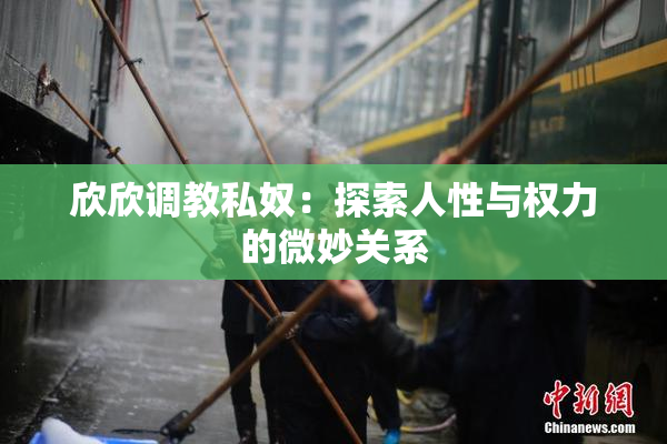 欣欣调教私奴：探索人性与权力的微妙关系