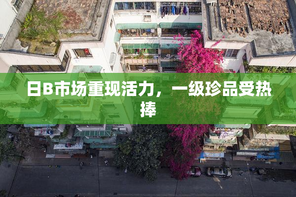 日B市场重现活力，一级珍品受热捧