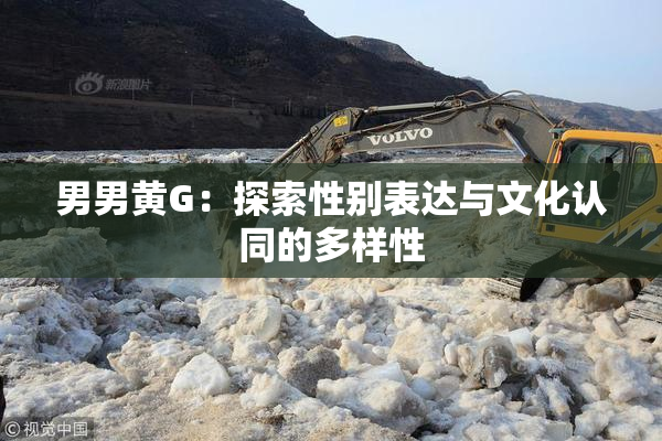 男男黄G：探索性别表达与文化认同的多样性