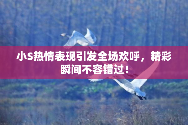 小S热情表现引发全场欢呼，精彩瞬间不容错过！