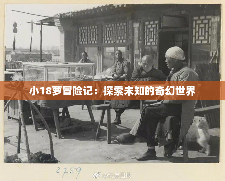 小18萝冒险记：探索未知的奇幻世界