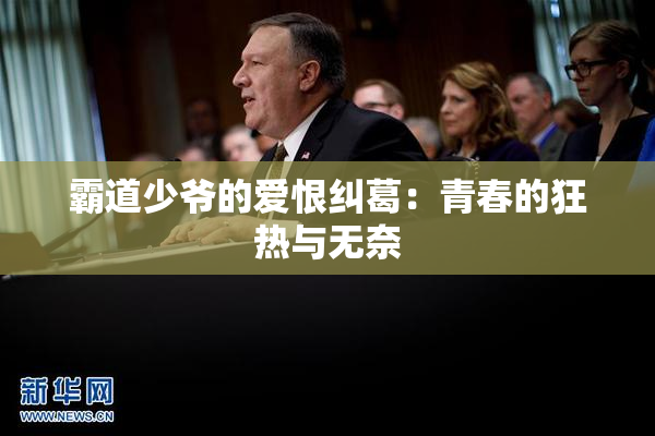 霸道少爷的爱恨纠葛：青春的狂热与无奈