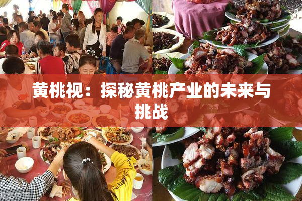 黄桃视：探秘黄桃产业的未来与挑战