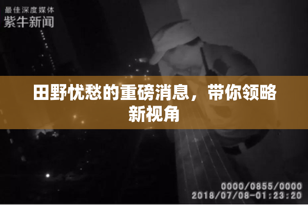 田野忧愁的重磅消息，带你领略新视角