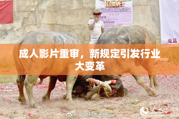 成人影片重审，新规定引发行业大变革