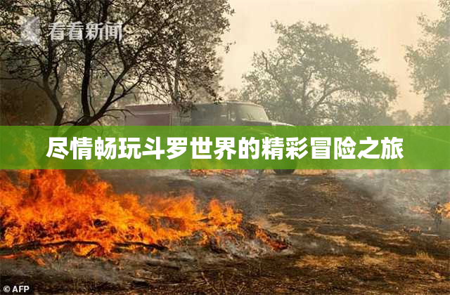 尽情畅玩斗罗世界的精彩冒险之旅