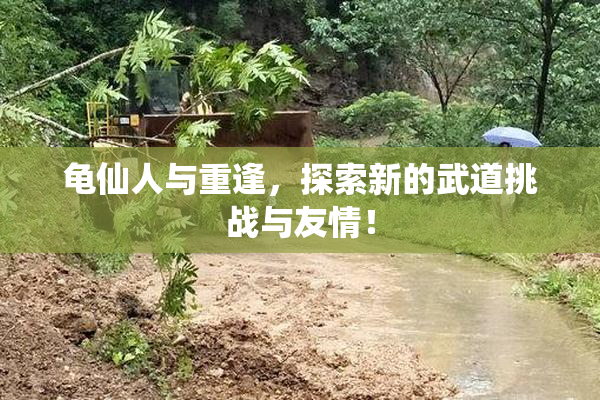 龟仙人与重逢，探索新的武道挑战与友情！