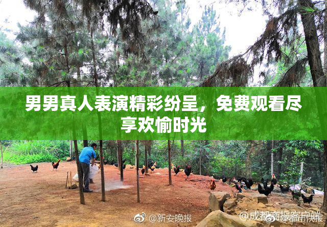男男真人表演精彩纷呈，免费观看尽享欢愉时光