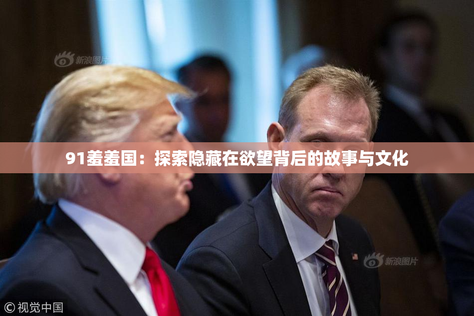 91羞羞国：探索隐藏在欲望背后的故事与文化