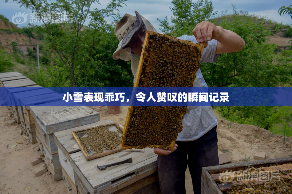 小雪表现乖巧，令人赞叹的瞬间记录