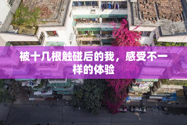 被十几根触碰后的我，感受不一样的体验