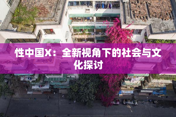 性中国X：全新视角下的社会与文化探讨