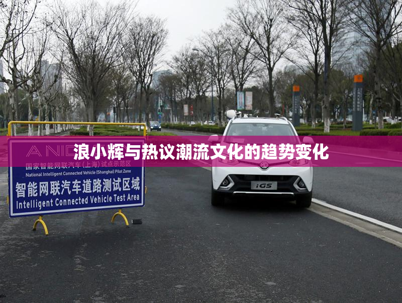 浪小辉与热议潮流文化的趋势变化