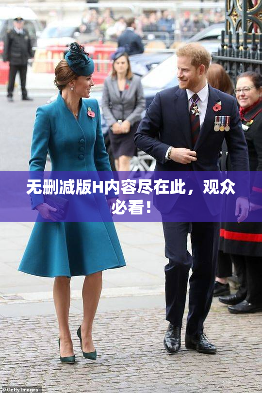 无删减版H内容尽在此，观众必看！