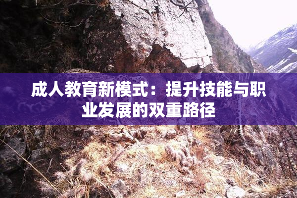 成人教育新模式：提升技能与职业发展的双重路径