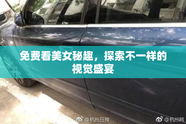 免费看美女秘趣，探索不一样的视觉盛宴