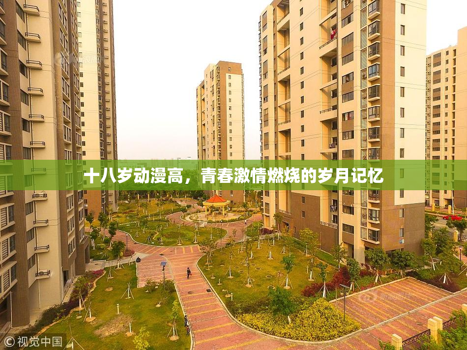 十八岁动漫高，青春激情燃烧的岁月记忆